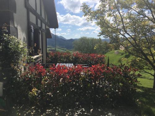 Apartamento Casa Rural Balerdi