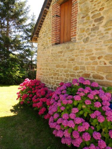 Bed & Breakfast Les Stiers