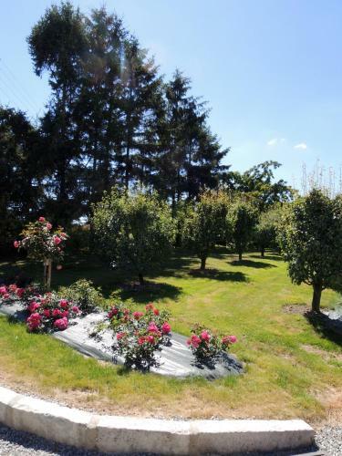 Bed & Breakfast Les Stiers