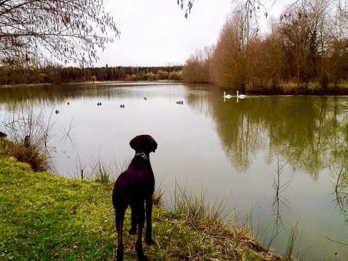 Bed & Breakfast Le Domaine de Charlyne