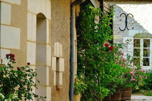 Bed & Breakfast Le Moulin de La Planche