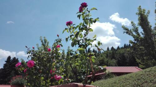 Apartamento Livadaki Village
