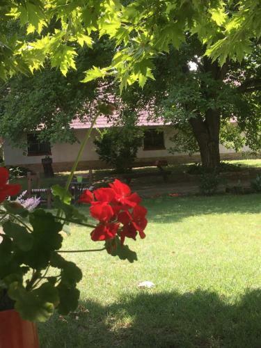 Hostal Garz�-puszta Tanya