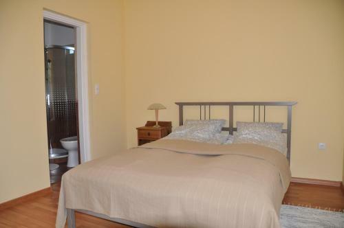 Bokros Vend�gh�z