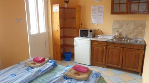 Hostal Katica Vend�gh�z