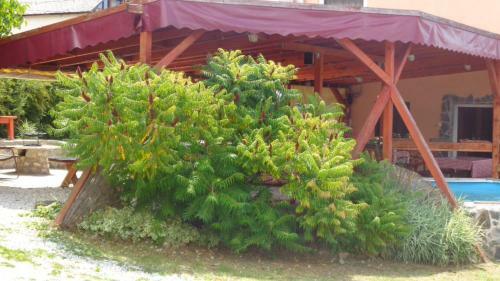 Hostal Katica Vend�gh�z