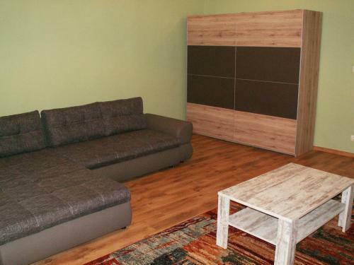 Chester Gozsdu Apartment