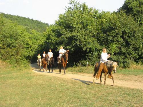 Hostal Aranyalma Panzio
