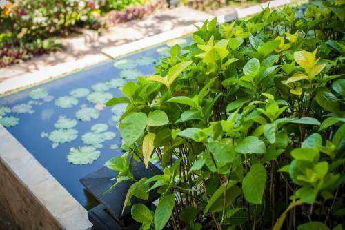 Villa Zen Resort Bali