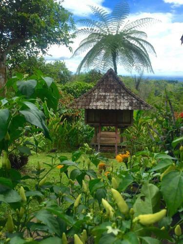 Lodge Bali Mountain Retreat