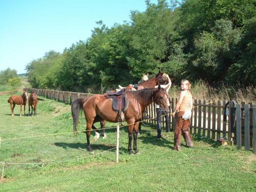 Hostal Kisecset-vend�gh�z