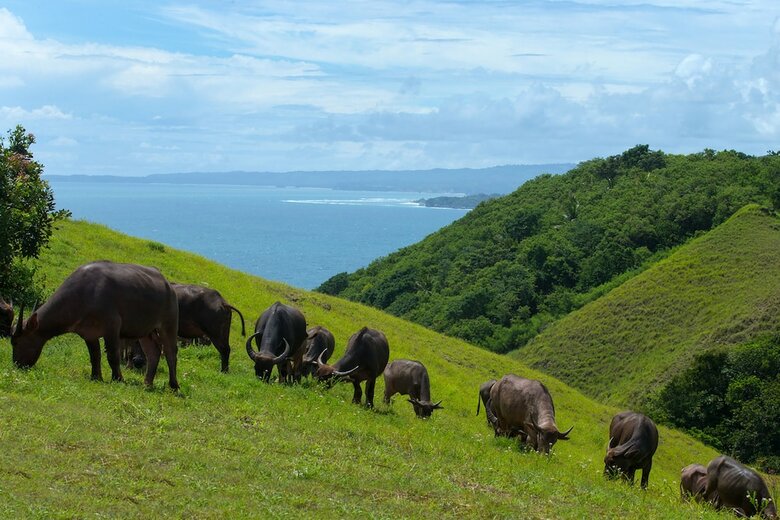 Hotel Lelewatu Resort Sumba