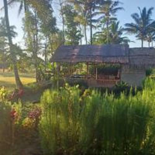 Tereng Wilis Bungalows