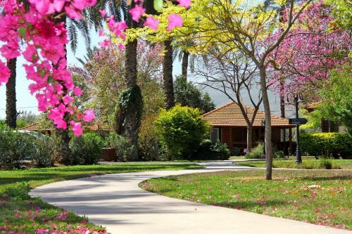 Nir David Country Lodge