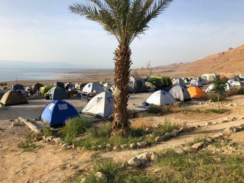 Albergue Ein Gedi Camp Lodge
