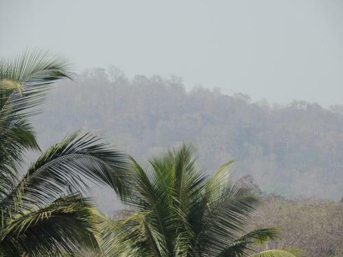 Apartamento Dandeli Home Stay