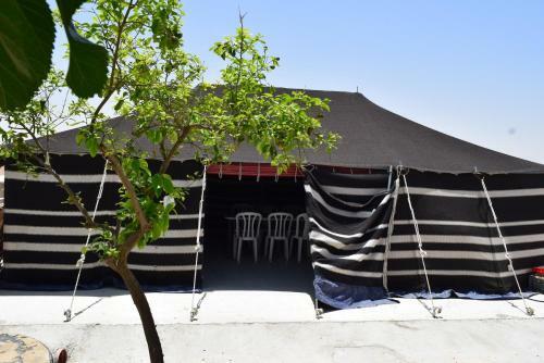 Posada Amazing Bedouin Hospitality