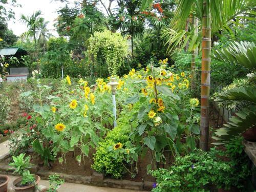Hostal Rater Tara Diner Rabi Guest House