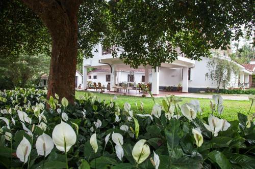 Pepper Vines Homestay