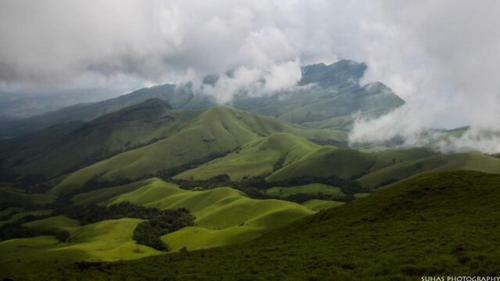 Pepper Vines Homestay