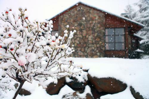 Hotel Merom Golan Resort