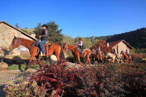 Hotel Merom Golan Resort