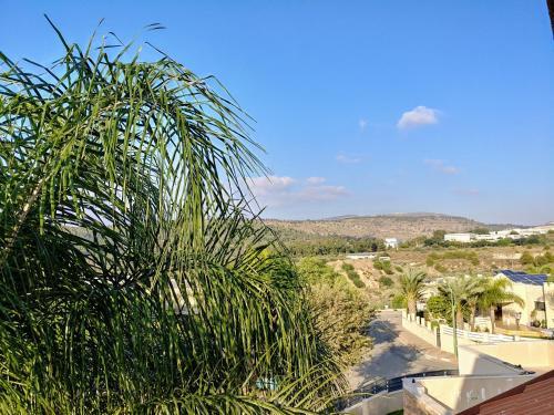 Hostal Assaf's Place - ????? ?? ???