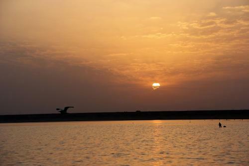 Hotel Olive Aqua Resort, Ramtek