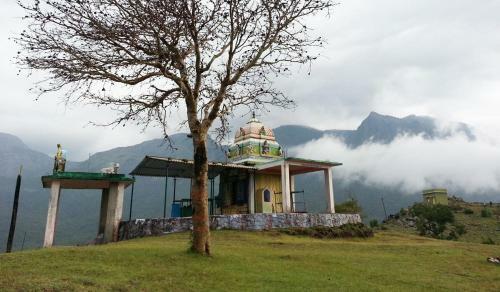 Hotel Jungle Hut
