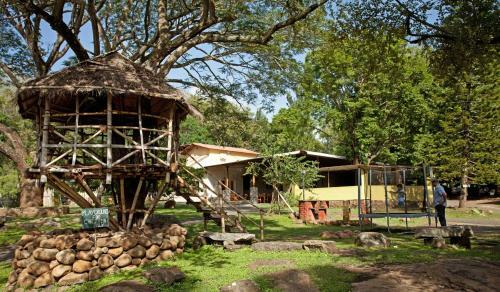 Hotel Jungle Hut