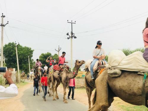 Pushkar Pride Camp & Resort