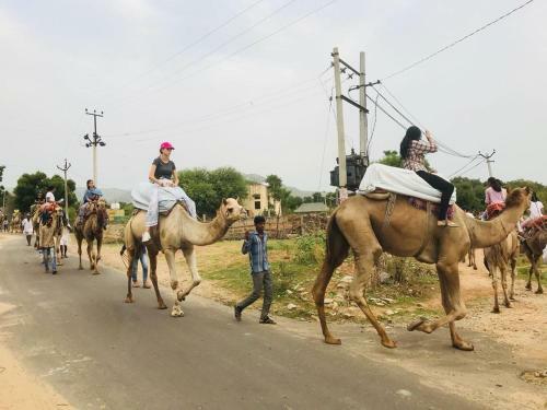 Pushkar Pride Camp & Resort