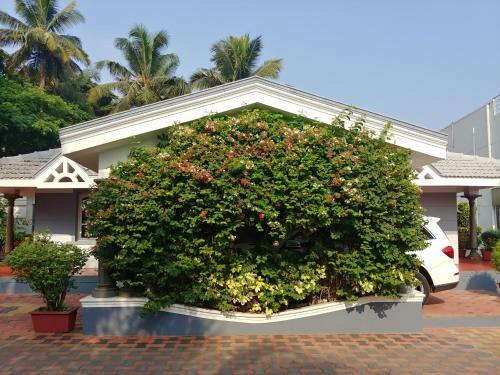 Hotel The Cute Resort