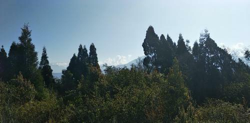 Posada Tibet Homestay