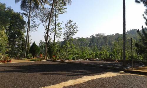 The Misty Guest House In Coorg
