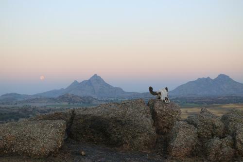 Aravali Nature Luxury Camp - Jawai
