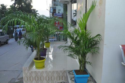 Hostal Sripaadha Inn Kanipakam