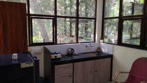 Palolem Apartments