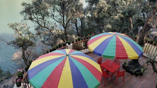 Bed & Breakfast The Woods
