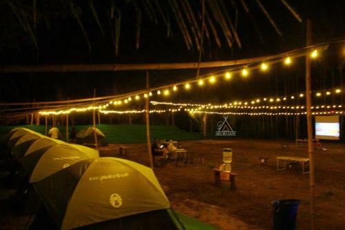 Camp Aloha By Getsetcamp