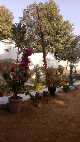 Hotel Neel Amar Camp & Restaurant