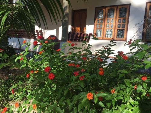 Bed & Breakfast Salt & Pepper Home Stay