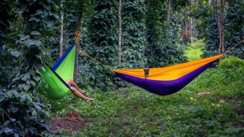 Albergue Zostel Chikmagalur