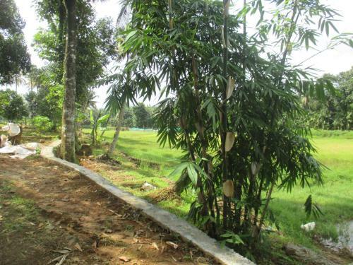 Agroturismo Vayal Farm Stay