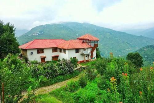 Blissful Experience At Shimla