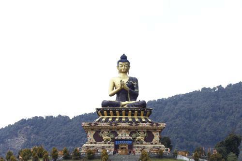 Hotel Buddha Retreat