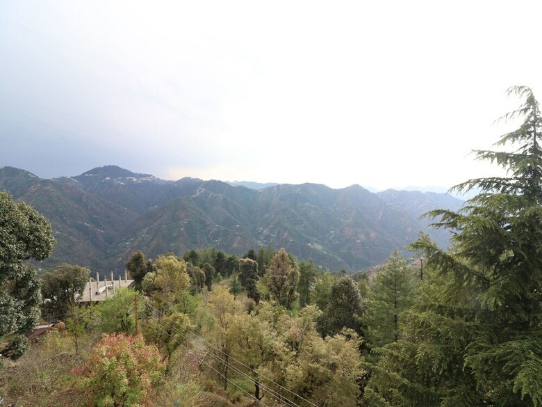 Apartamento Mountain-view 1bhk Home In Mashobra-naldera