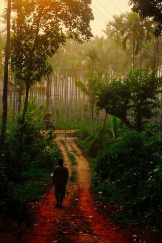 Swastha Plantation Homestay