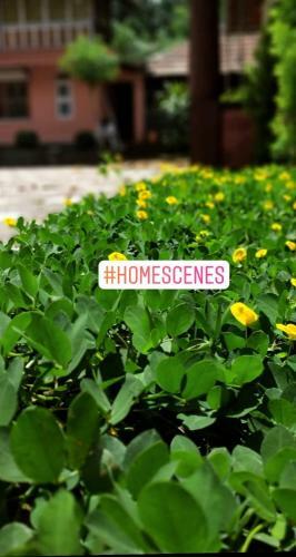 Swastha Plantation Homestay