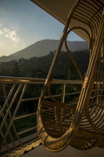 White Petals Homestay Munnar